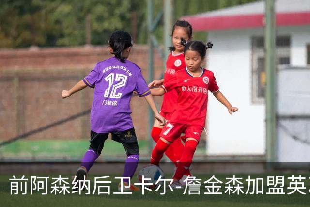 前阿森纳后卫卡尔-詹金森加盟英乙球队布罗姆利