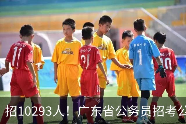 招10293人！广东省公务员招考公告发布