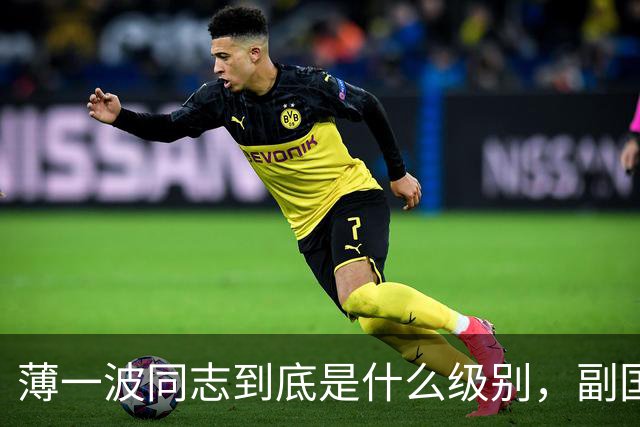 薄一波同志到底是什么级别，副国级？还是正国级？